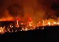 Governo Federal coordena resposta emergencial para combate a incêndios florestais no Pantanal
