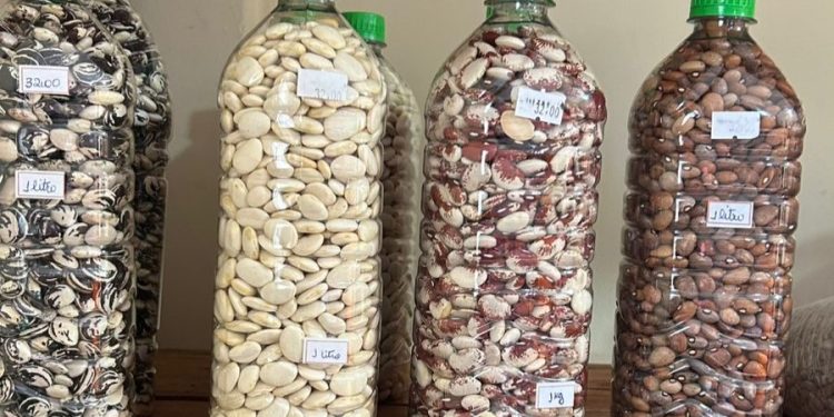 Rondonópolis|Procon flagra empresa no Centro vendendo alimentos sem detalhar origem e data de validade
