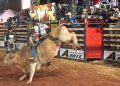 Semana do Cavalo Rondonópolis e É o Bicho Rodeio Festival começa hoje com portões abertos