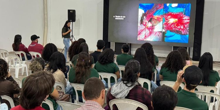 Palestras gratuitas da Semana do Cavalo Rondonópolis e É o Bicho Rodeio Festival tratam de sanidade animal, nutrição e equoterapia