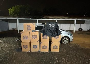 Polícia Civil prende mulher com 495 caixas de cigarros contrabandeados em MT