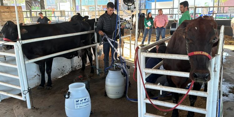 Inscrições de animais para o 32º Torneio Leiteiro da Exposul se encerram hoje