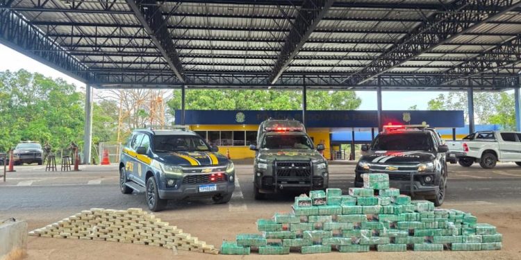 Forças de segurança apreendem 550 quilos de cocaína e causam R$ 9,9 milhões de prejuízo às facções